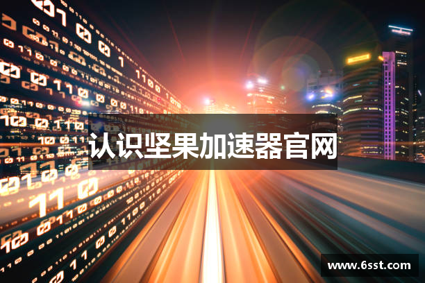 认识坚果加速器官网